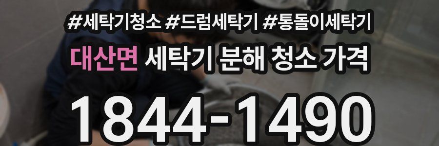 대산면 세탁기 분해 청소 가격