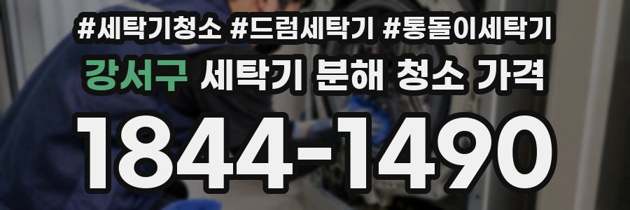 강서구 세탁기 분해 청소 가격