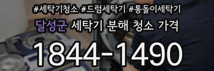 달성군 세탁기 분해 청소 가격
