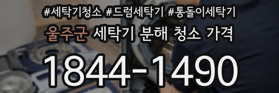 울주군 세탁기 분해 청소 가격