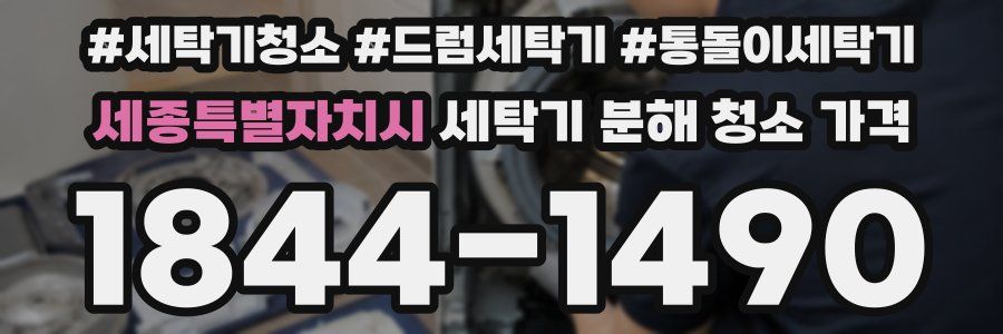 세종특별자치시 세탁기 분해 청소 가격