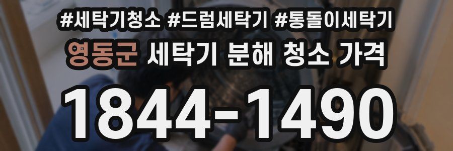 영동군 세탁기 분해 청소 가격