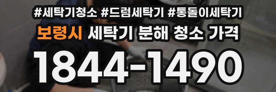 보령시 세탁기 분해 청소 가격