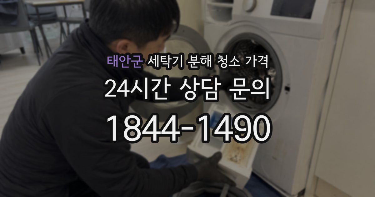 태안군 세탁기 분해 청소 가격