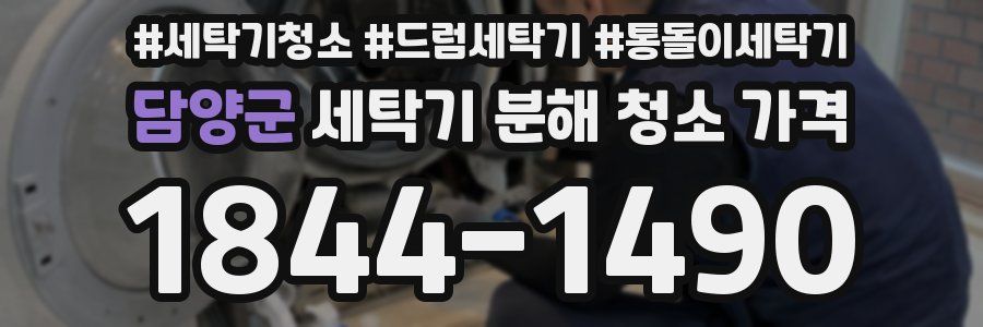 담양군 세탁기 분해 청소 가격