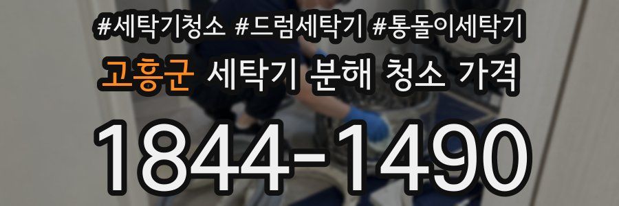 고흥군 세탁기 분해 청소 가격