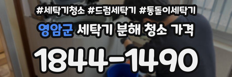 영암군 세탁기 분해 청소 가격