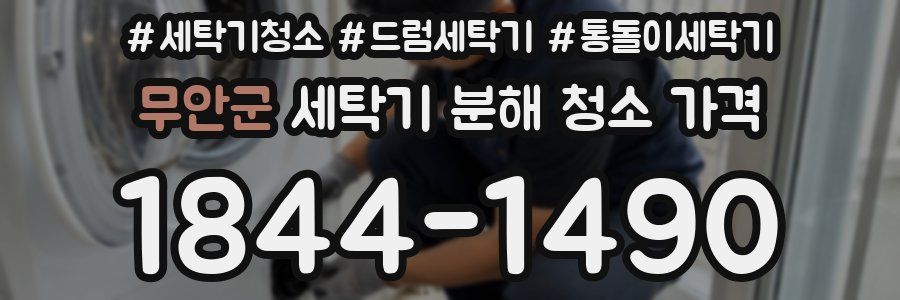 무안군 세탁기 분해 청소 가격