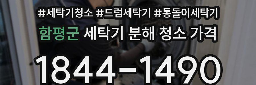 함평군 세탁기 분해 청소 가격