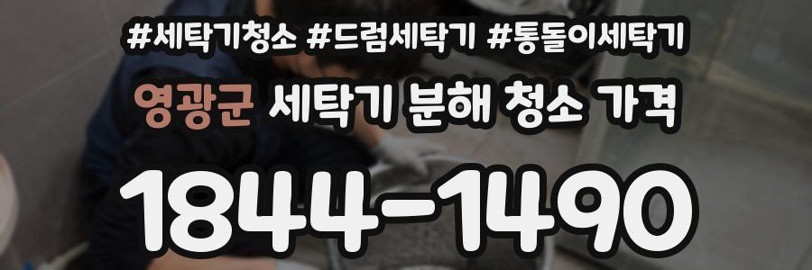 영광군 세탁기 분해 청소 가격