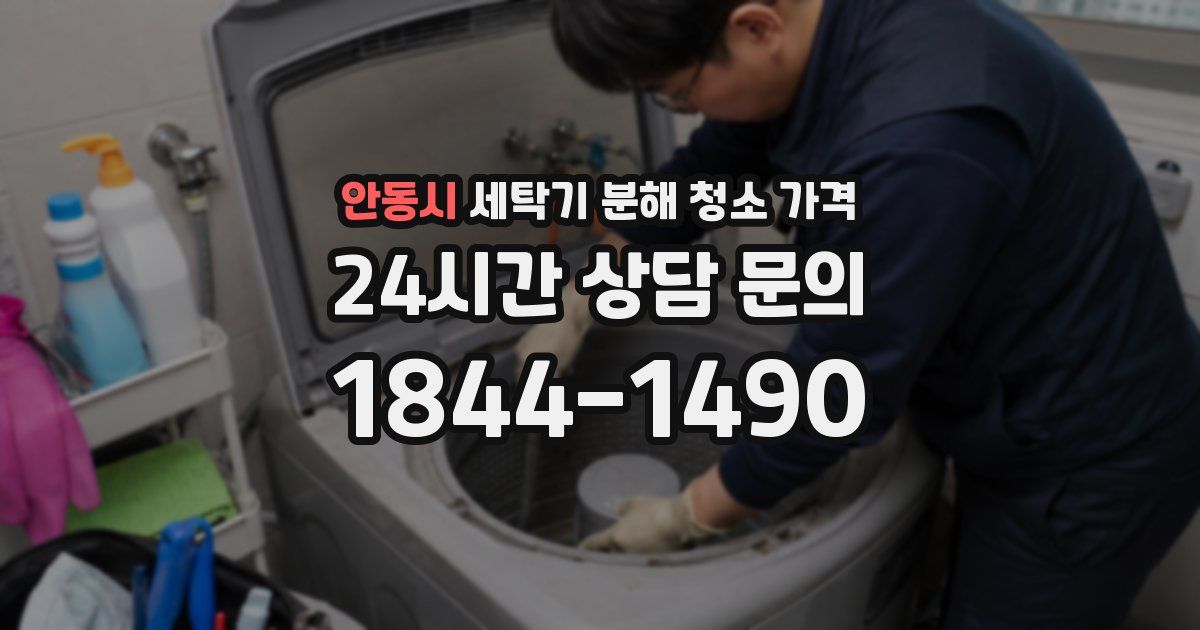 안동시 세탁기 분해 청소 가격