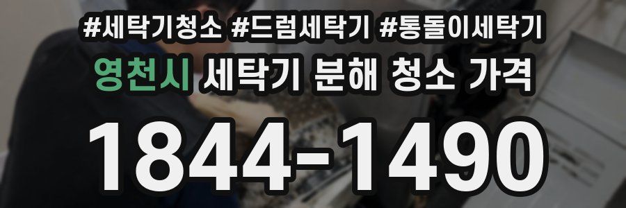 영천시 세탁기 분해 청소 가격