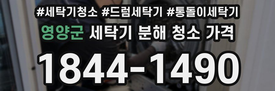 영양군 세탁기 분해 청소 가격