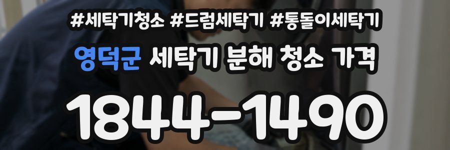 영덕군 세탁기 분해 청소 가격