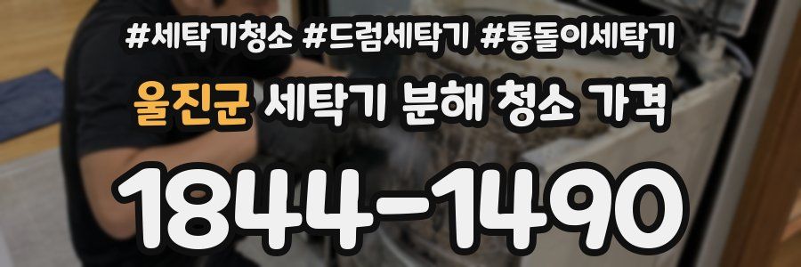 울진군 세탁기 분해 청소 가격