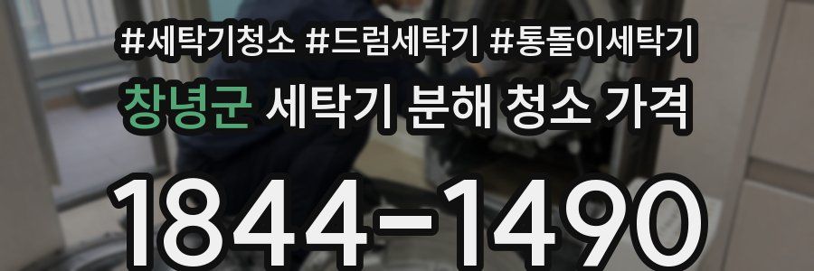 창녕군 세탁기 분해 청소 가격