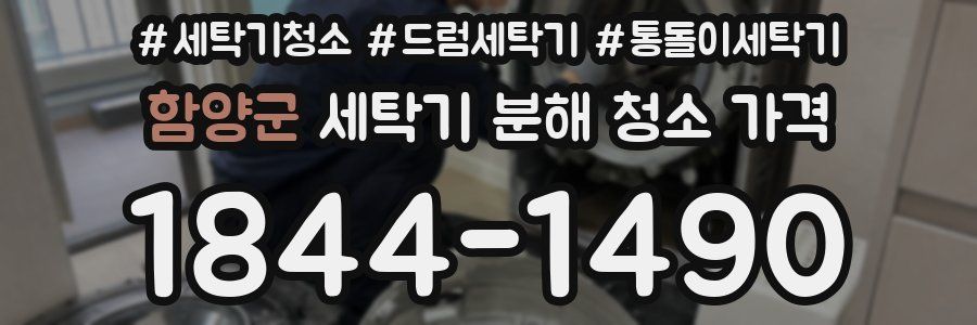 함양군 세탁기 분해 청소 가격