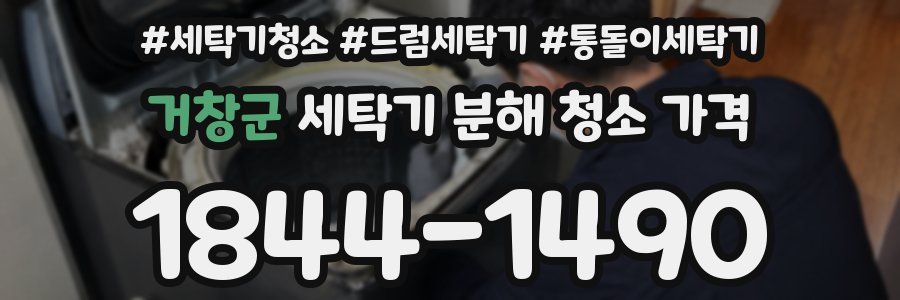 거창군 세탁기 분해 청소 가격