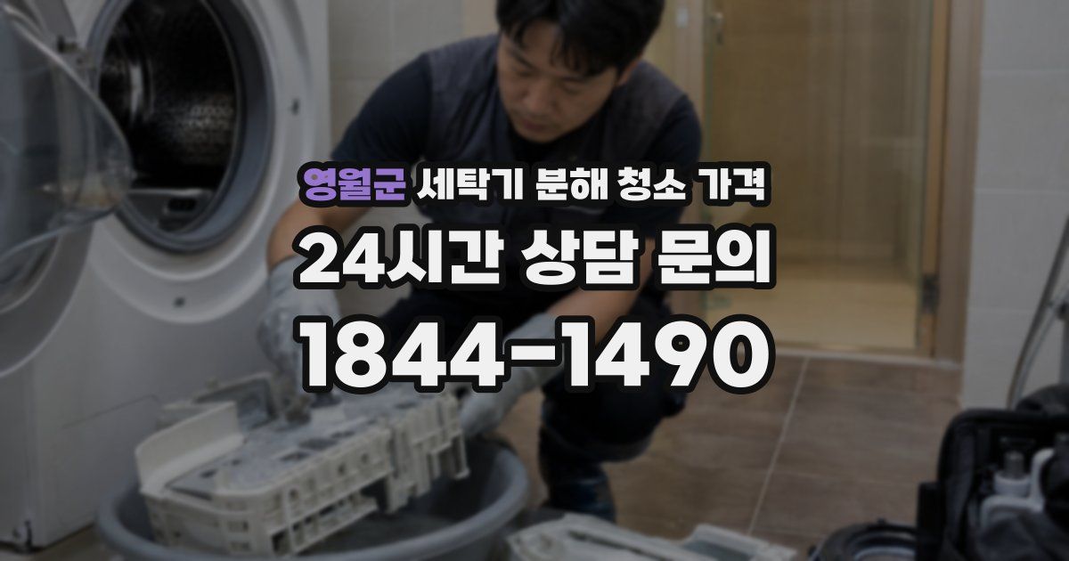 영월군 세탁기 분해 청소 가격
