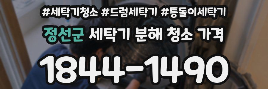 정선군 세탁기 분해 청소 가격
