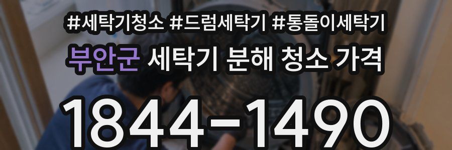 부안군 세탁기 분해 청소 가격