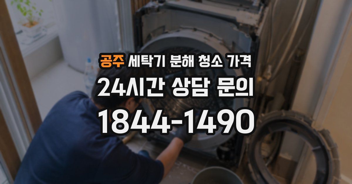 공주 세탁기 분해 청소 가격