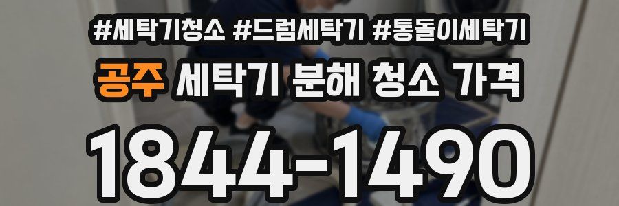 공주 세탁기 분해 청소 가격