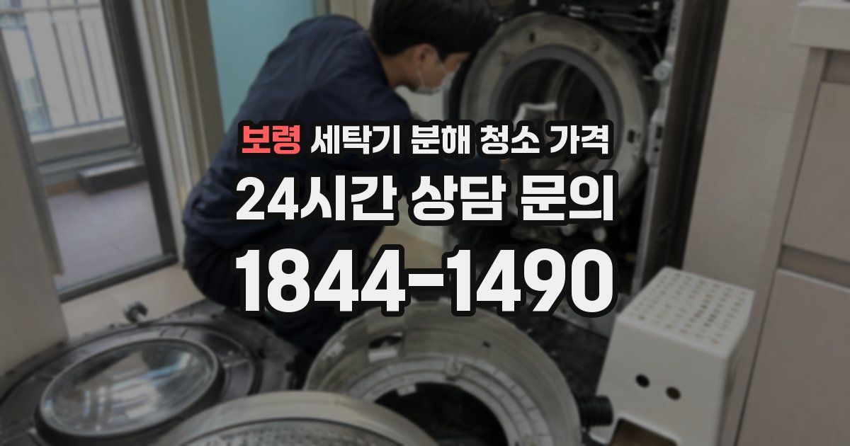 보령 세탁기 분해 청소 가격