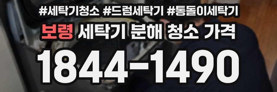 보령 세탁기 분해 청소 가격