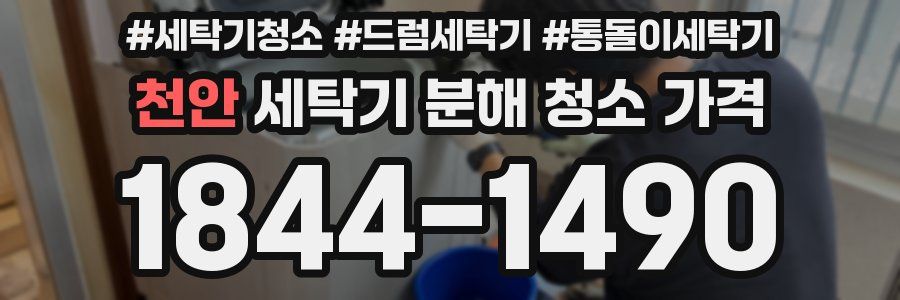 천안 세탁기 분해 청소 가격