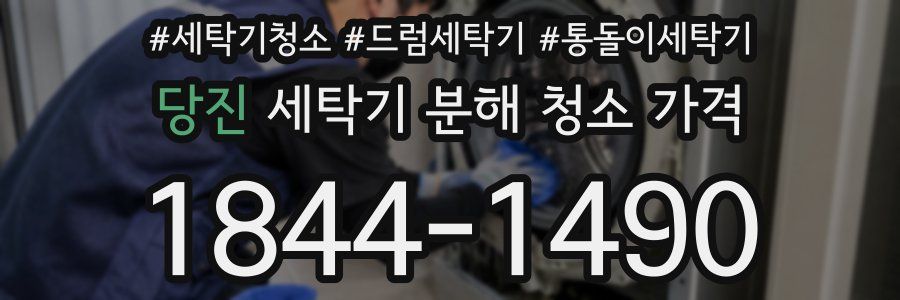 당진 세탁기 분해 청소 가격