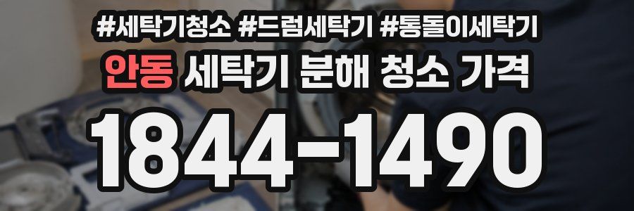 안동 세탁기 분해 청소 가격