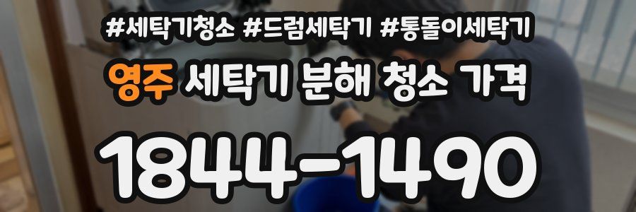 영주 세탁기 분해 청소 가격