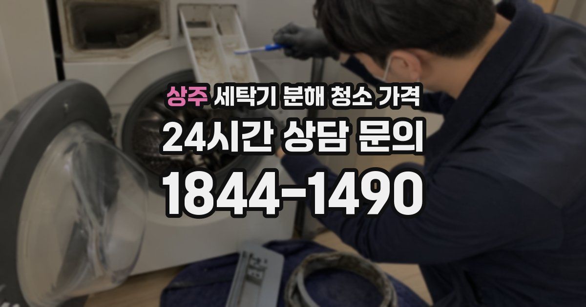 상주 세탁기 분해 청소 가격