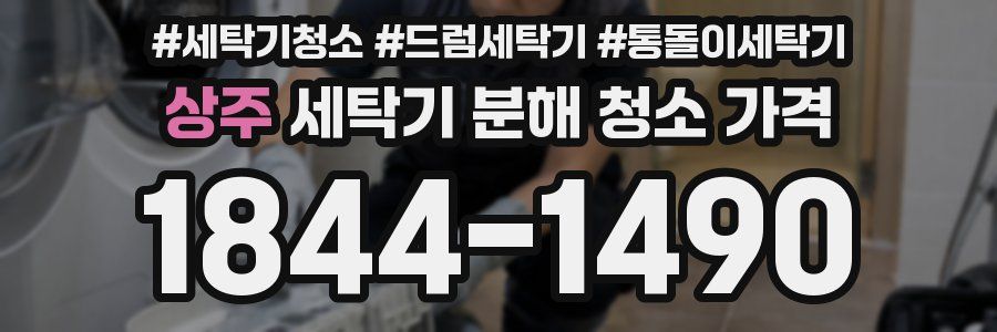 상주 세탁기 분해 청소 가격
