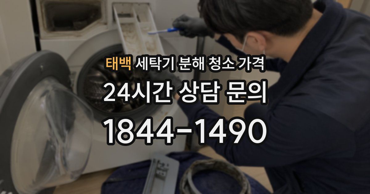 태백 세탁기 분해 청소 가격