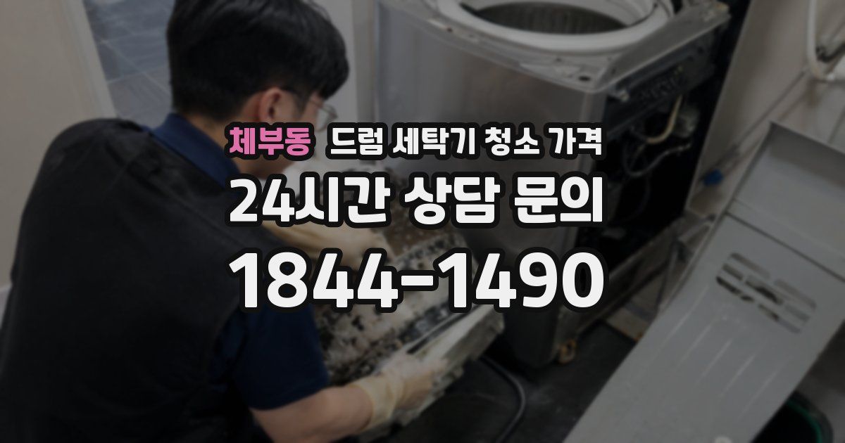 체부동 드럼 세탁기 청소 가격