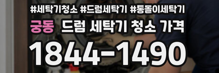 궁동 드럼 세탁기 청소 가격