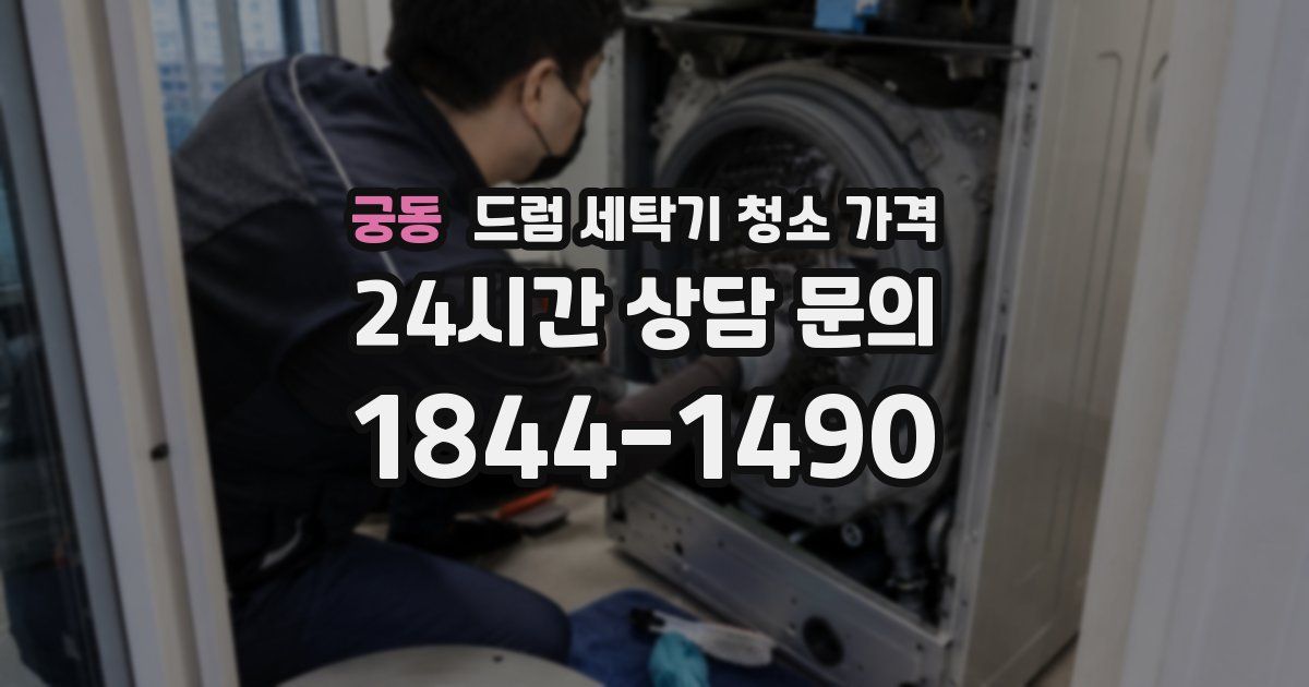 궁동 드럼 세탁기 청소 가격