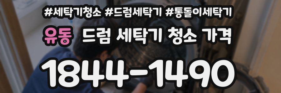 유동 드럼 세탁기 청소 가격