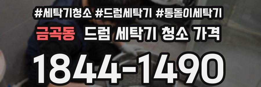 금곡동 드럼 세탁기 청소 가격
