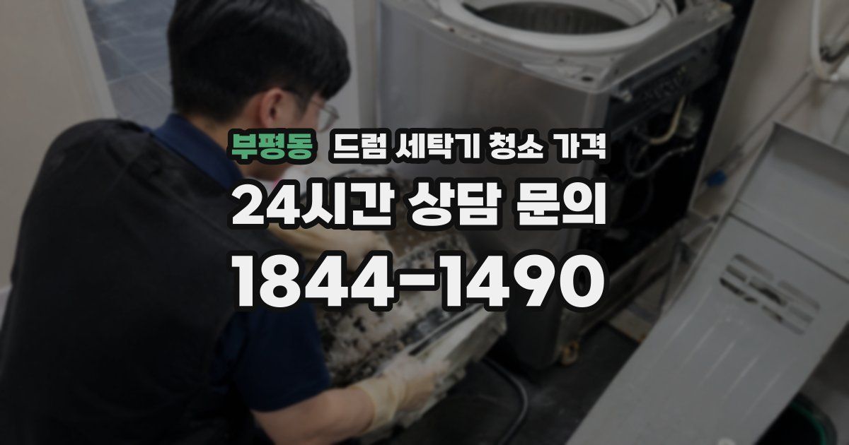 부평동 드럼 세탁기 청소 가격