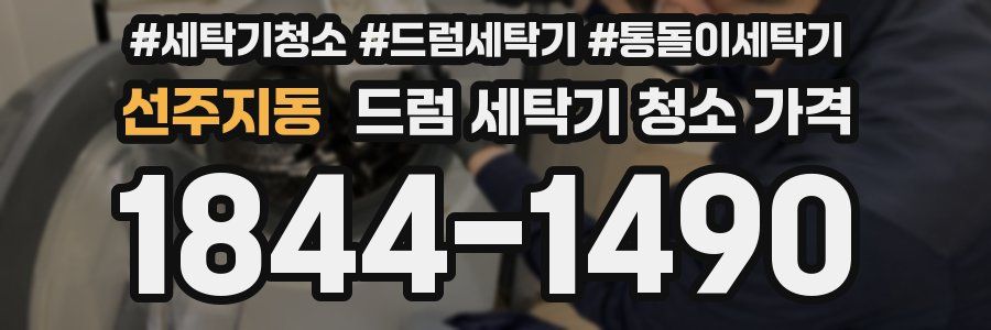 선주지동 드럼 세탁기 청소 가격