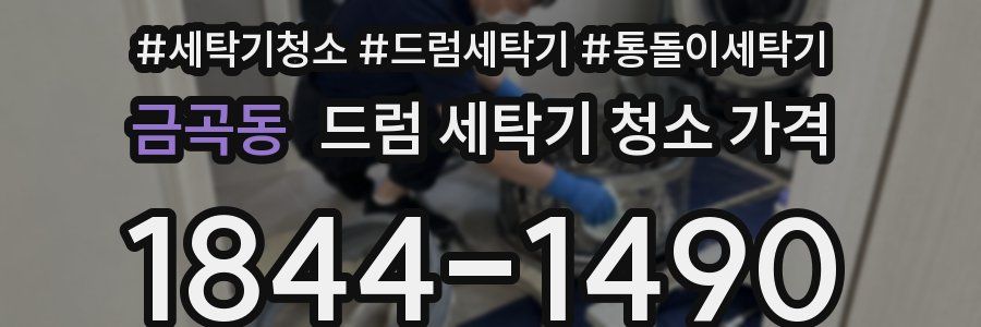 금곡동 드럼 세탁기 청소 가격