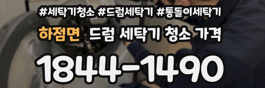 하점면 드럼 세탁기 청소 가격