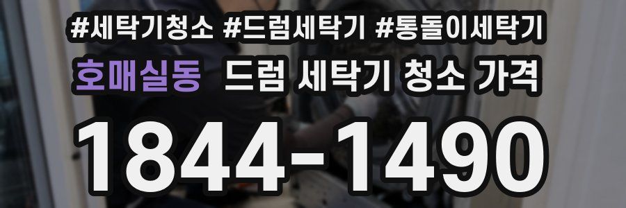 호매실동 드럼 세탁기 청소 가격