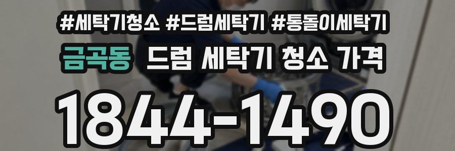 금곡동 드럼 세탁기 청소 가격