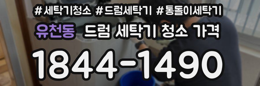 유천동 드럼 세탁기 청소 가격
