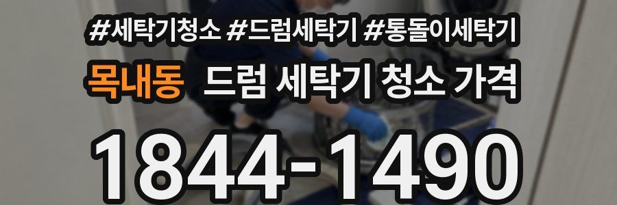 목내동 드럼 세탁기 청소 가격