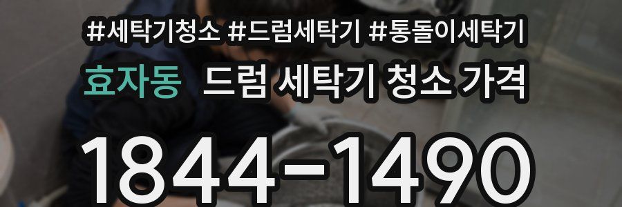 효자동 드럼 세탁기 청소 가격
